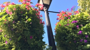 �¼�������������ѧ˶ʿ��ѧʱ��