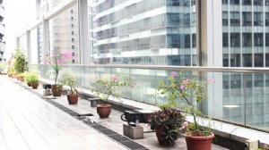 �����������������ѧ�о���