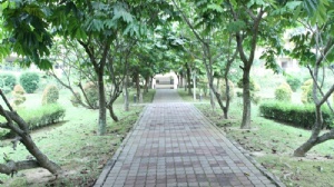 �������Ǵ�ѧһ����˶ʿ