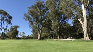 ��������̩����ѧԤ��