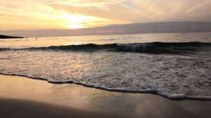 ̩����ѧ����