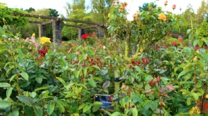 ����������ѧ��������