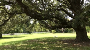 �������Ǵ�ý�о�����ѧ