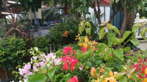 ̩�������ִ�ѧרҵ