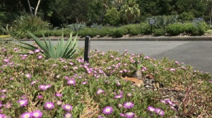 ����������ѧ�������