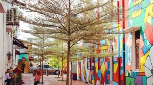 ��������˶ʿ��ѧ