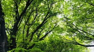 ��̫�Ƽ���ѧ��ѧ����