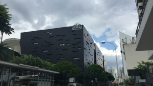 ȥ�¼�����Сѧһ�꼶����