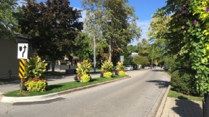 ��������MBA��ѧ����