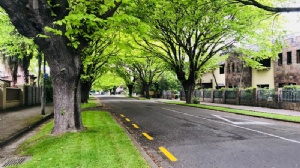 新加坡sim私立大学