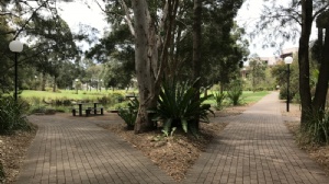 英迪大学留学费用