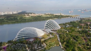 新加坡本科院校有哪些