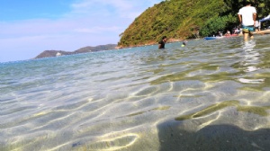 ̩���̻��ѧ��������