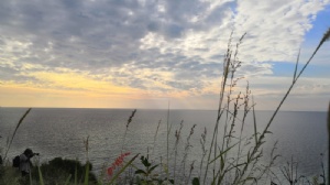 ̩��������ѧ����