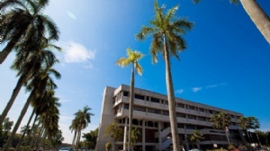 �������ǲ�������ѧQS����