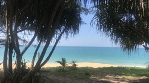 ̩��ũҵ��ѧmba