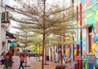 ������˶ʿ����������ѧ��