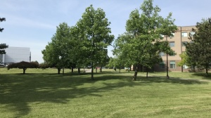 ����������ѧ���ù���רҵ