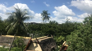 泰国留学学设计