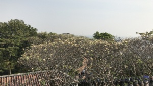 ̩���о���Ҫ�󼨵�