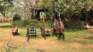 ̩�����̻ʼҴ�ѧ��ѧ