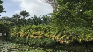 �¼��¶�Сѧ���ö���