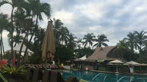 �¼���������ѧ������������