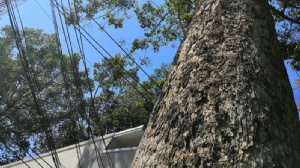 ̩��������ѧ����