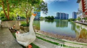 ��������̩�����ʴ�ѧ