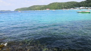 �¼���������������ѧ˶ʿ