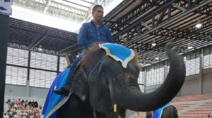 ̩���̻��ѧ���̹���