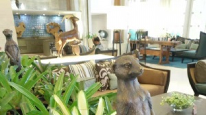 ̩��ũҵ��ѧ�о�����������