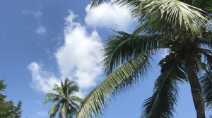 泰国留学法律硕士