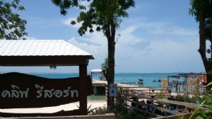 ���������ִ�ѧ����