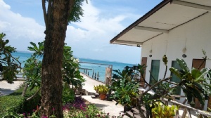 ̩��������ѧѧ��