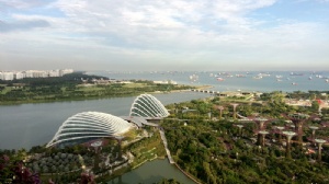 新加坡读小学费用是多少