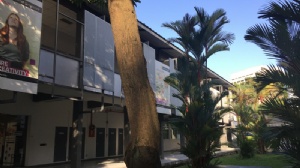 �¼�����ѧ�о�������