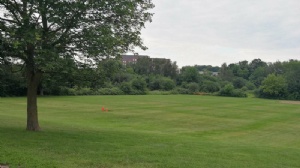 �¼�������������ѧ�о�������