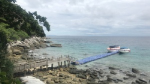 ̩��̫ƽ����ʴ�ѧ