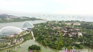 新加坡读高中好吗