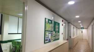 2026�¼�����ѧһ�����