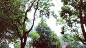 ��������ѧ��ѧ��������