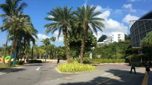 新加坡的大学研究生申请