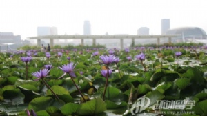 �¼��¹�����ѧ�����˶ʿ