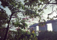 �¼��¹�����ѧ����