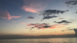 ̩�����ִ�ѧѧ��һ�����