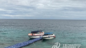 ̩��ҽѧרҵ˶ʿ