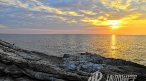 ̩��������ѧ��ѧ��˼Ҫ��