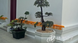 ̩���ʼ�������ѧ��������