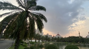 ̩�������ִ�ѧ��ѧ��˼Ҫ��